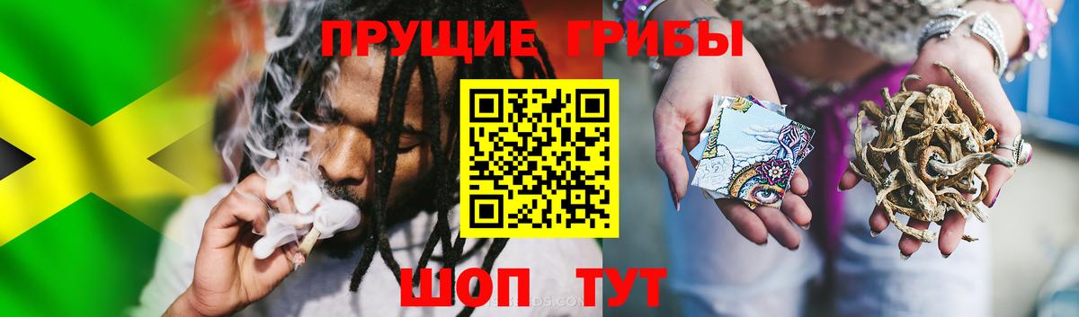 COCAIN  NBOMe  АМФ кристаллы  Купить наркоту  Экстази  Светлоград  Марихуана  Вход с VPN  ГАШИШ  МЕФ кристаллы  ТГК 